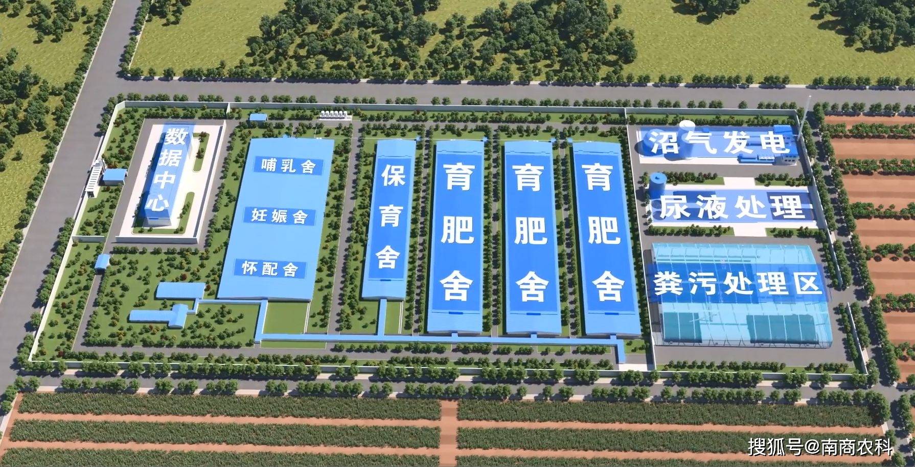 建设猪场要合理规划,不能盲目开始,建设猪场需要事先设计科学高效的