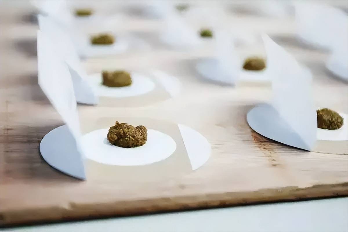 “三伏贴”有讲究，这么贴最有效