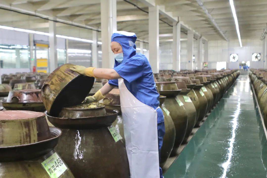 正宗老坛酸菜"诞生记"!这场探厂节目全景揭开"酸爽"的秘密