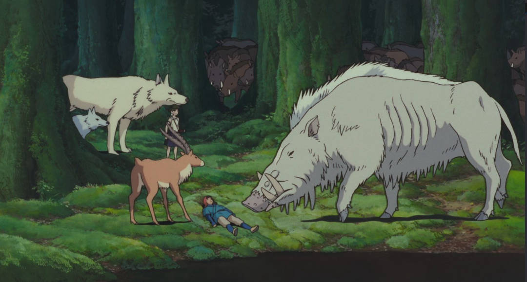 在宫崎骏的《幽灵公主》中,野猪更是作为保护森林战无不胜的英雄被