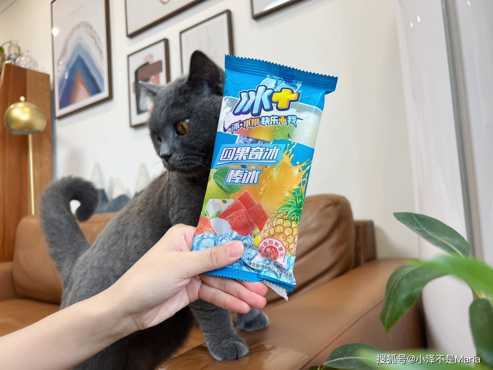 8,大桥道豆逗乐——2元夏天还有比绿豆更解暑的嘛!