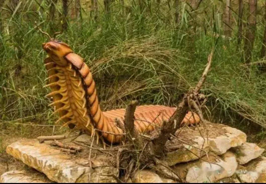 这种远古蜈蚣虫是陆地上,出现的首批无脊椎动物之一,它们也是地球史上
