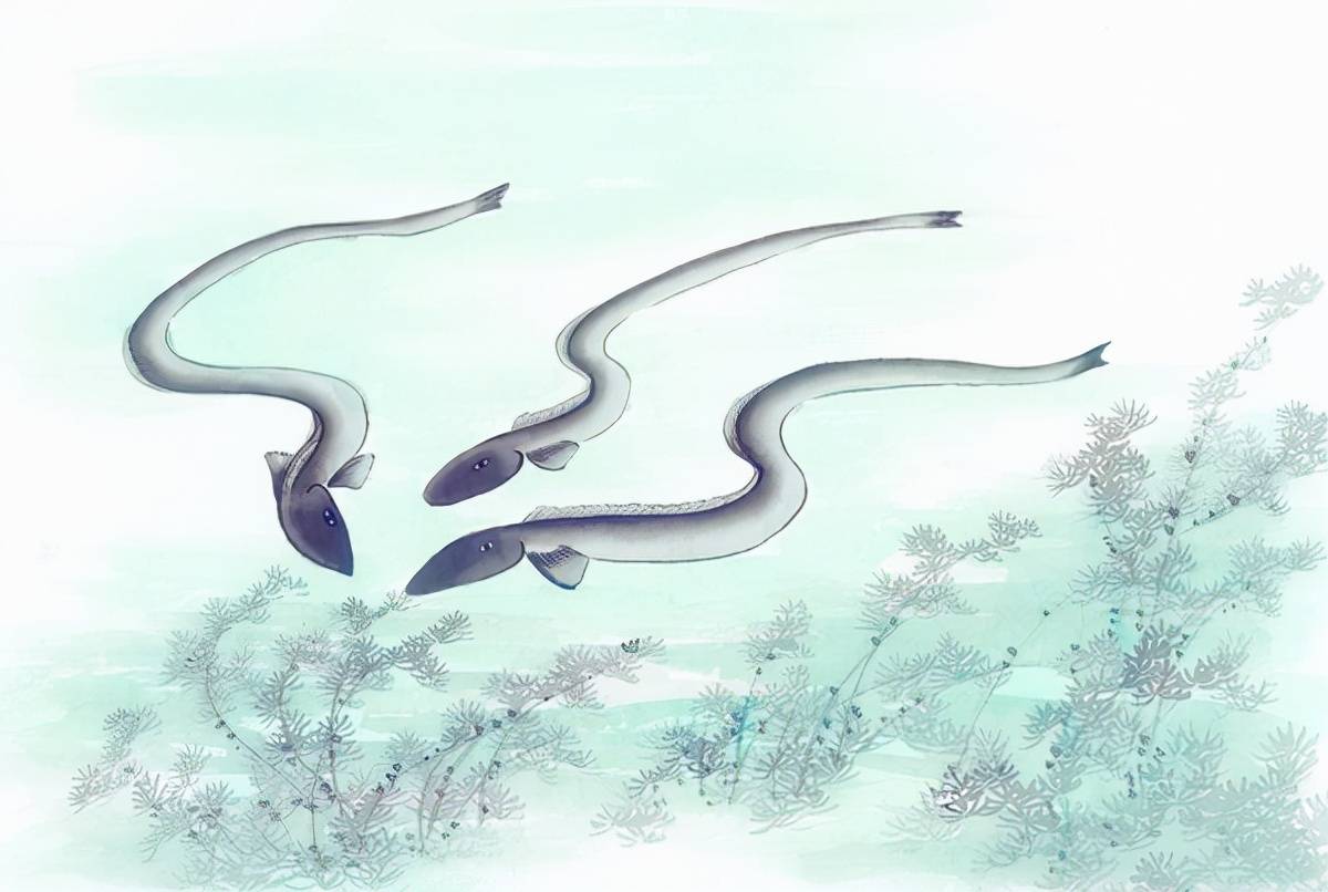 原创黄鳝很可怕连蛇都不敢轻易捕食现实并非如此科学解析其奥秘