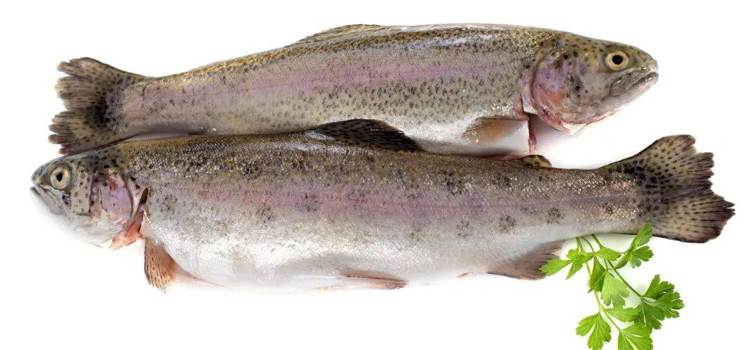 原创
这6类食物容易有寄生虫,最后1类少有人知道
一、容易含有寄生虫的7类食物二、如何避免寄生虫感染不想感染寄生虫,除了别生食,这8点也要注意