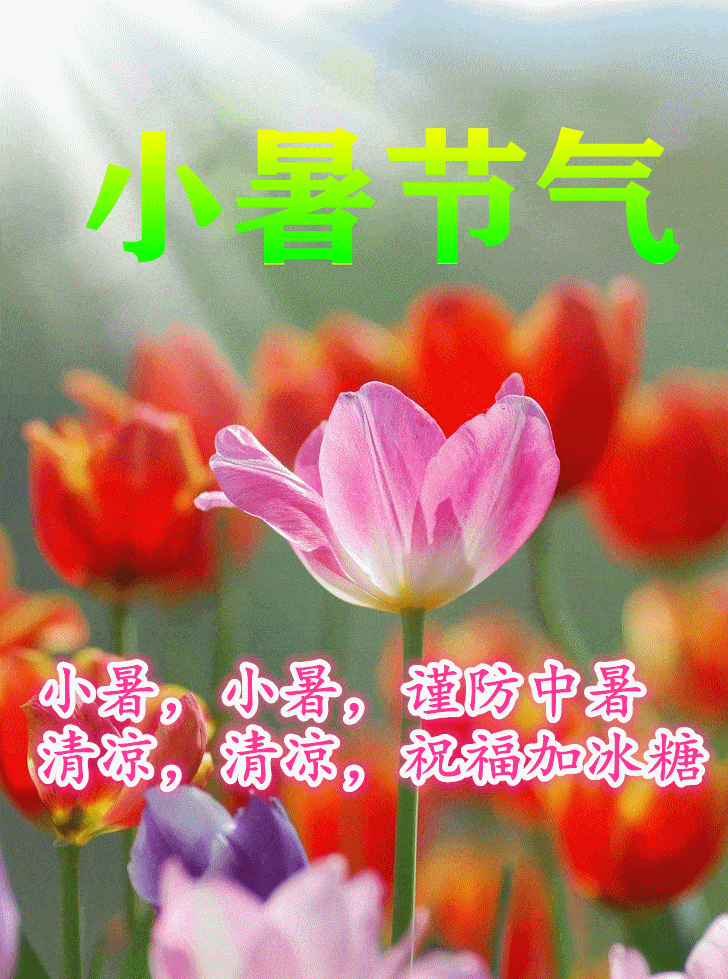 原创7月7日星期四小暑清晨早上好问候祝福动态表情图片周四最新早安