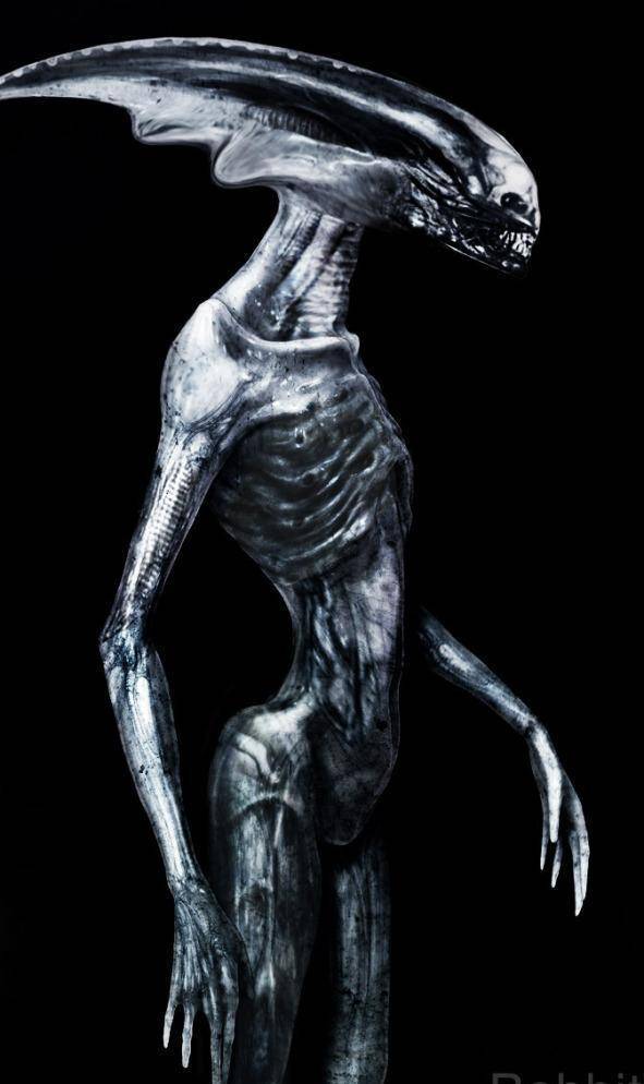 《普罗米修斯》——讲述异形故事的来源_人类_造物主_星球