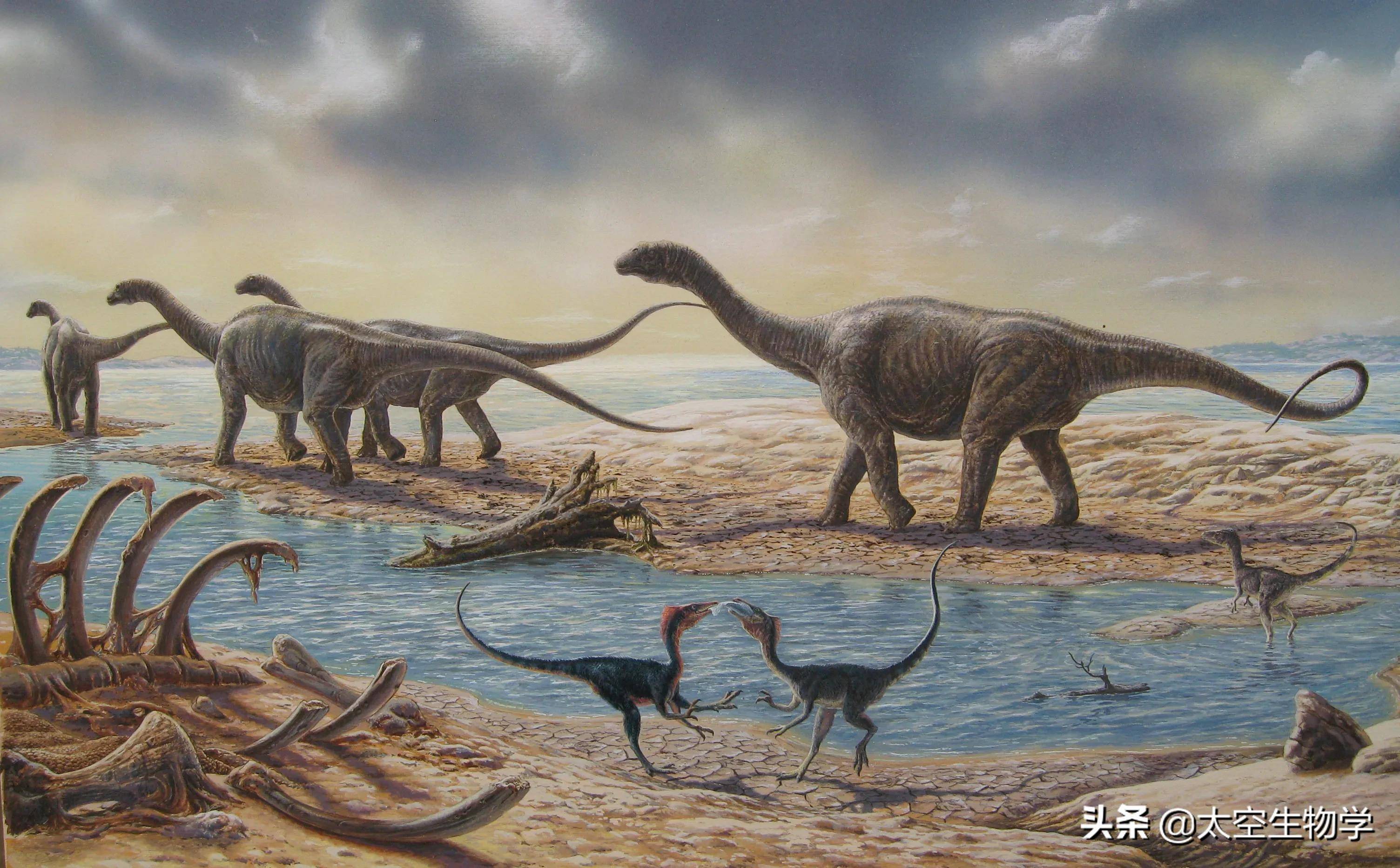 同样活在三叠纪低氧量环境中为什么恐龙就特别优秀