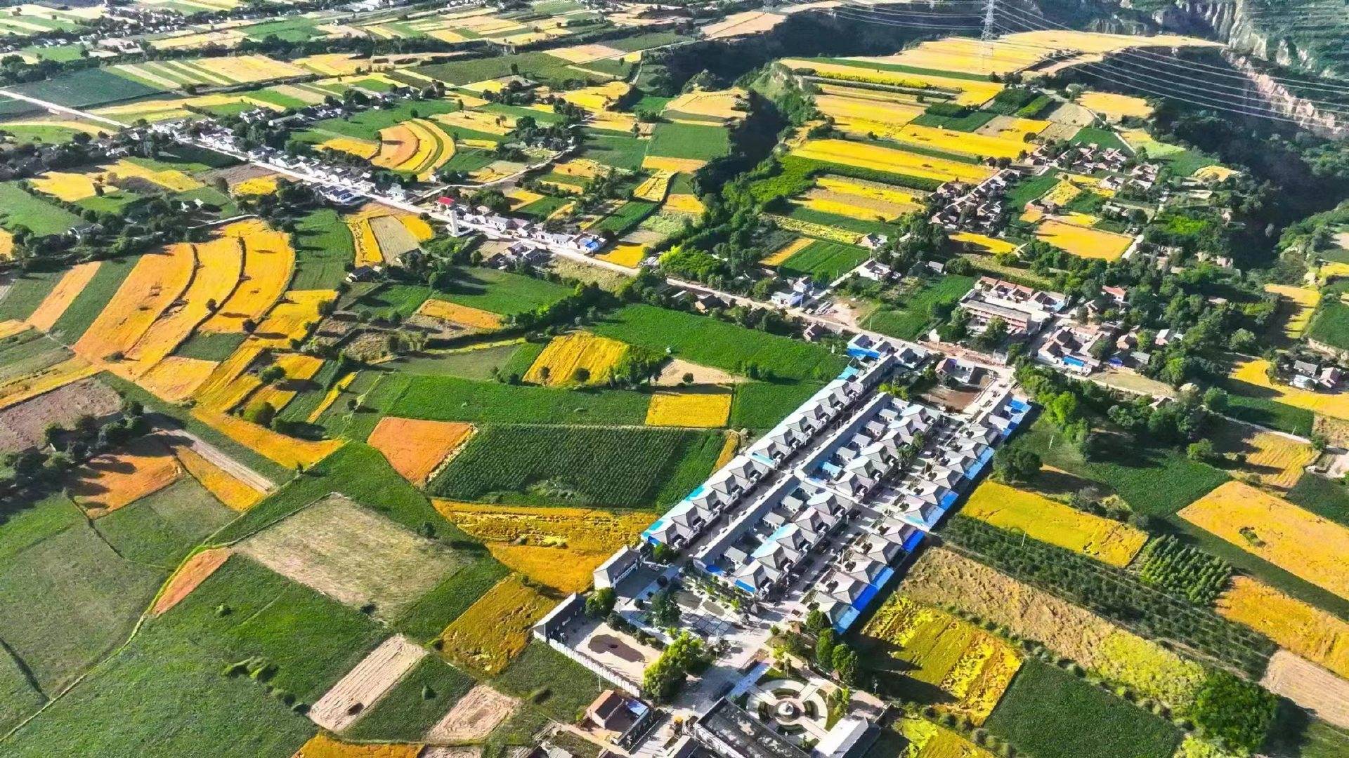 陕西彬州乡村建设高点开局全力打造醉美新农村