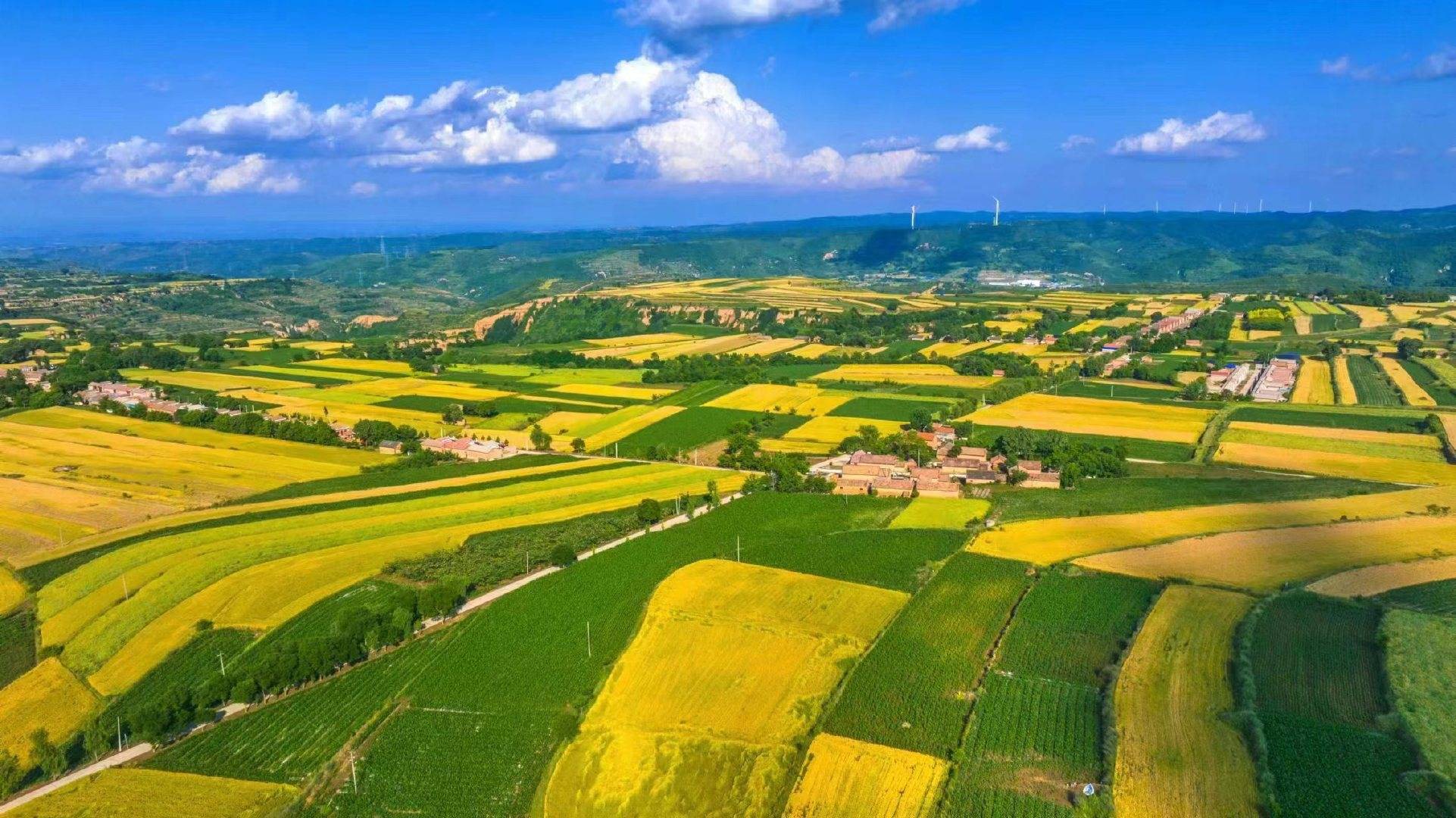 陕西彬州乡村建设高点开局全力打造醉美新农村