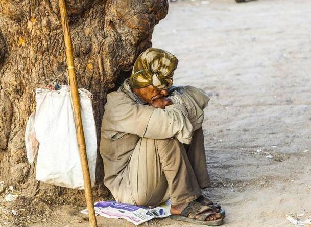 老汉买下屠宰场流泪老牛,半夜见老牛所为,老汉才知老牛不简单!