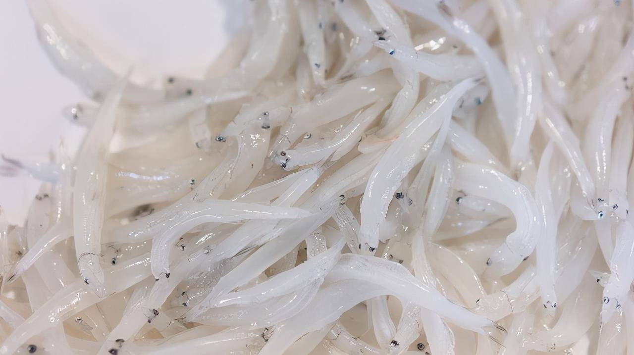 5月前后,这鱼抓紧吃,钙含量丰富,现在吃正当季,过阵子就少了_豆豉