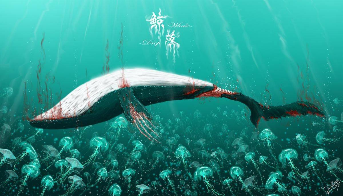 自然界太残忍！鲸鱼不会自然死亡，竟然是被活活淹死的?_搜狐网