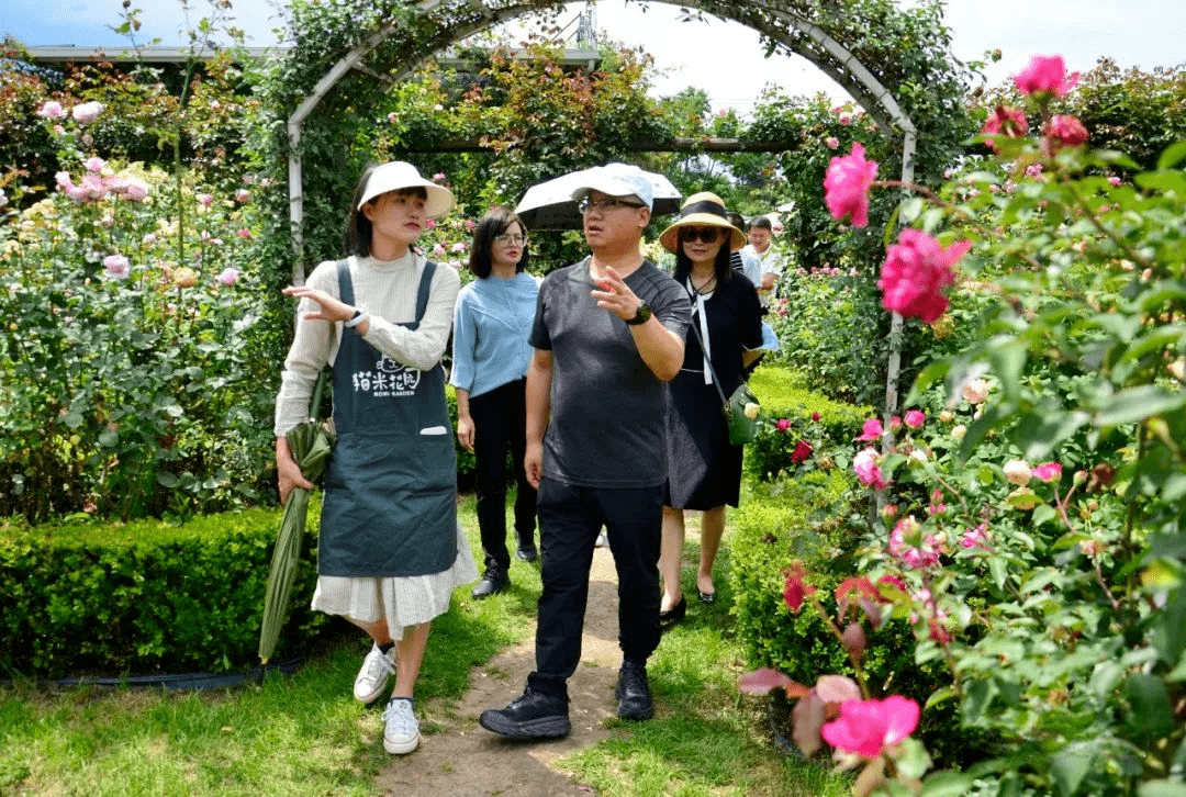 大理州委副書記,州長陳真永到大理市調研旅遊新業態和旅遊市場恢復