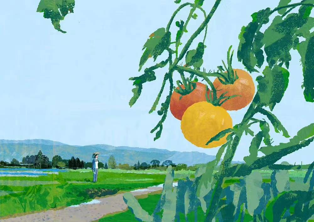 磨金石干货分享日本插画师tatsurokiuchi木内达朗