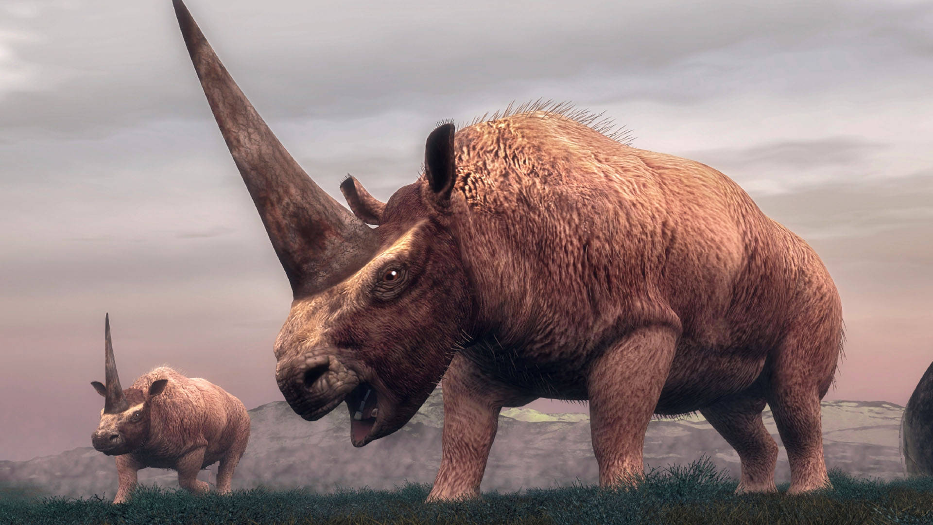 板齿犀最有辨识度的地方就是它头上那巨大的独角,科学家将板齿犀的