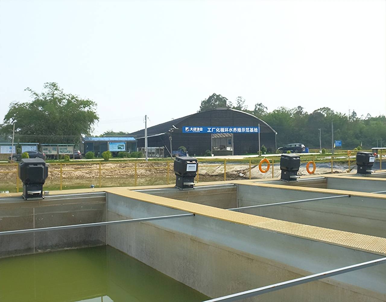 低碳高效 养殖简单 池塘流水养殖模式技术要点 水槽 水体 系统