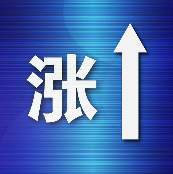 去年大窑湾海关验放平行车2384辆 同比增116.53%