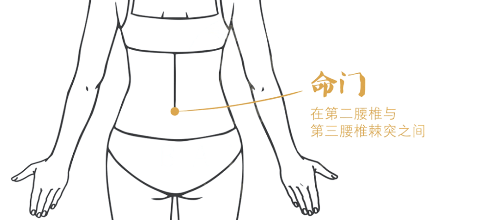 宫寒,妇科疾病老反复?贡方堂三伏灸解决女性问题,还你好气色