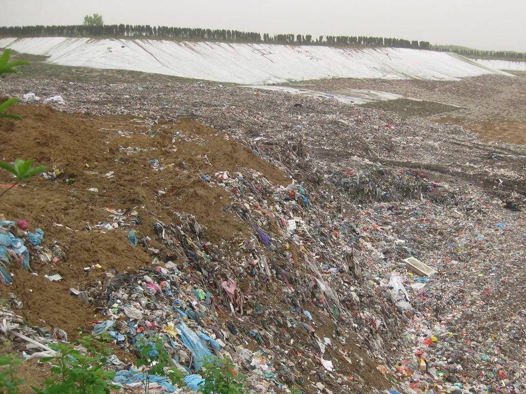 土地污染,会让你把多少垃圾吃进肚子里?_土壤_植物_库区