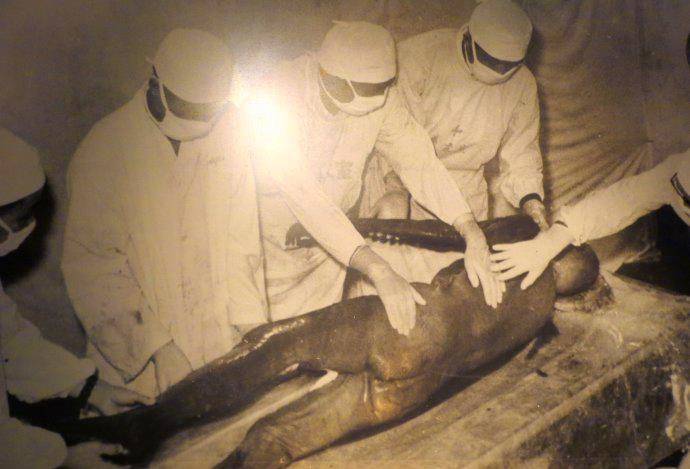 来自2000年前的"遂先生,肌肉依旧富有弹性,能否复活?