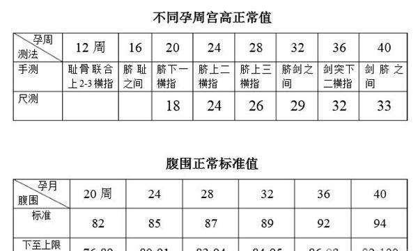 孕妈最好避开几个禁区,以免刺激宫缩,胎儿出现早产_宫高_宝宝_子宫