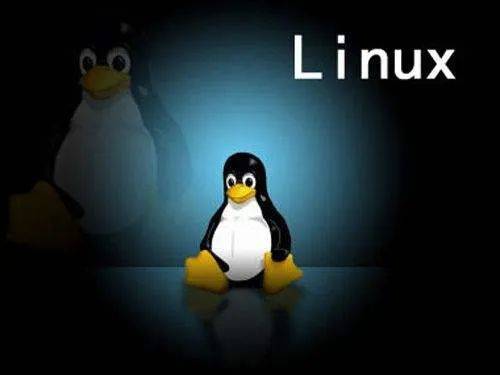 五种常见 Linux 系统安装包管理工具中文使用指南