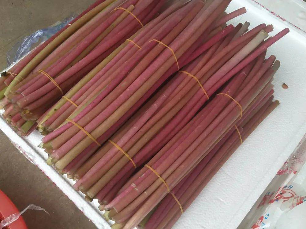 原创三伏天特有的一种刺梗剥皮后才能吃生吃带咸味15元斤比藕带还贵