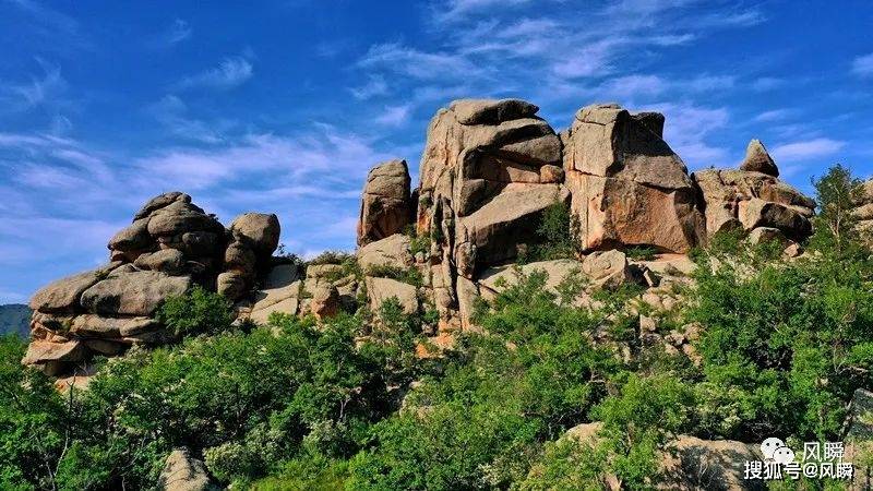 拾起我斑斓的记忆——赛罕乌拉科考散记_岳桦_植物_海拔