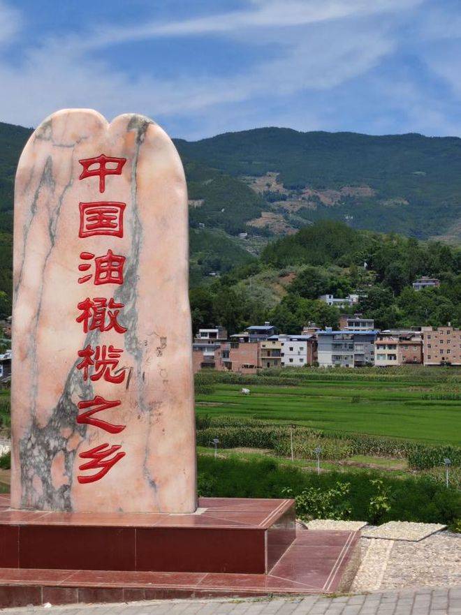 探寻油橄榄之乡,感受重庆奉节县甲高镇乡村振兴