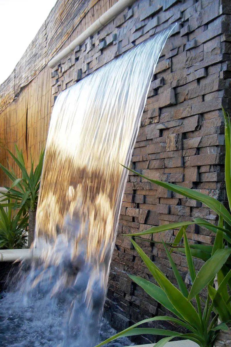 庭院的一汪水,消解心头的暑意._水景_设计_动植物