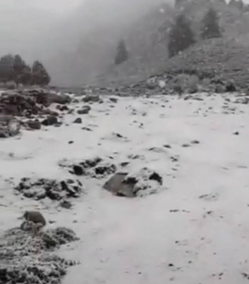 甘肃肃南七月飞雪，有牧民帐篷被飞雪压塌