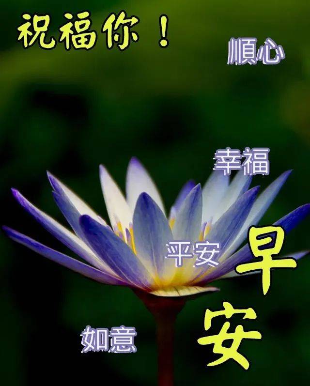 原创大暑节气有创意免打字早上好图片带字好看的大暑节气早安问候祝福