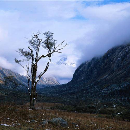 大自然的美干净治愈山水风景微信头像图片2022最新款