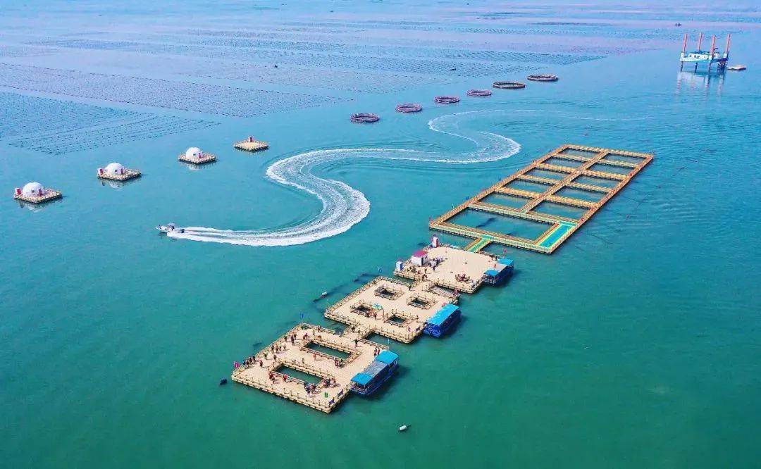 夏日炎炎,来荣成畅游海洋牧场!_平台_桑沟湾_观光