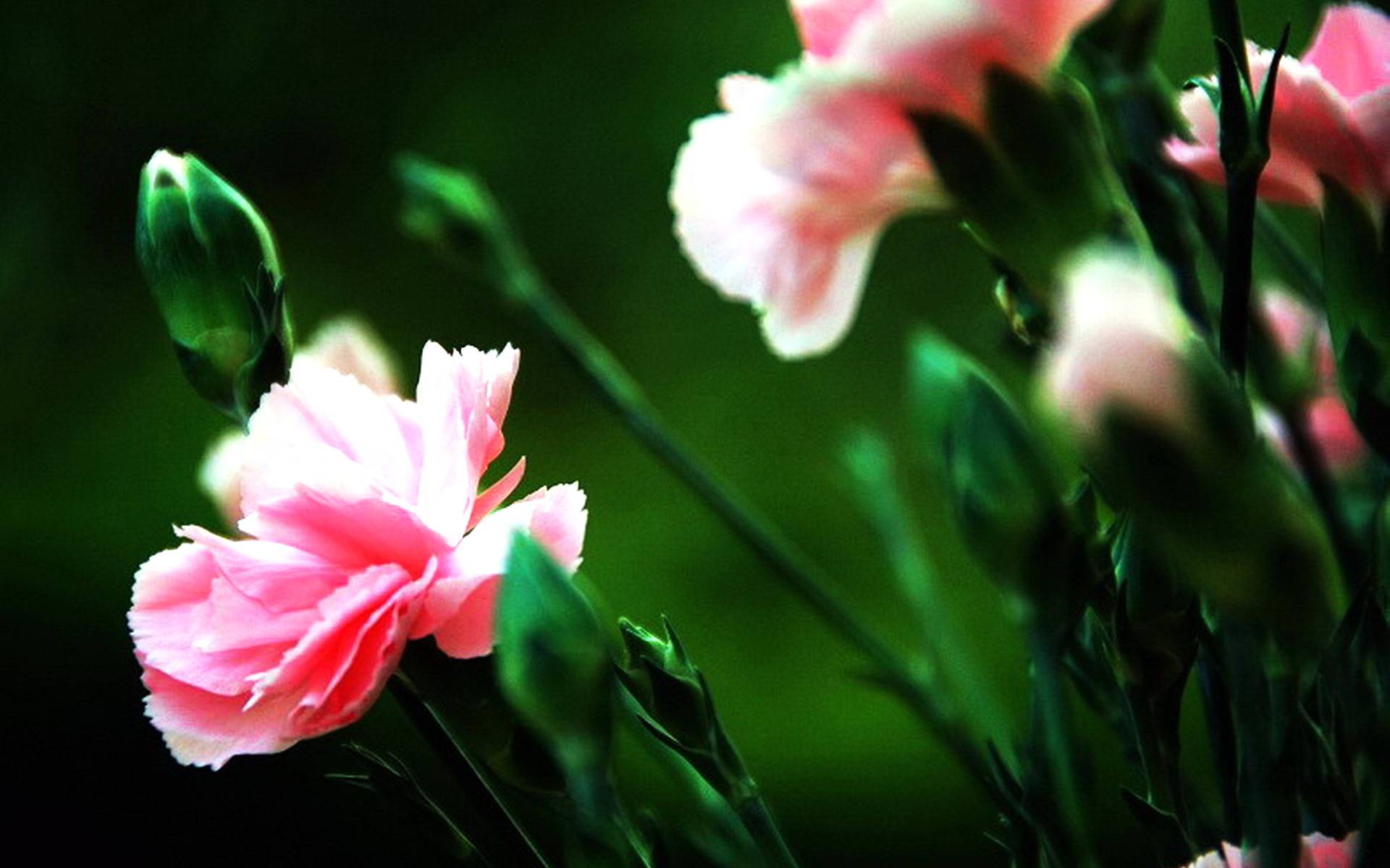 7月25日 31日爱情运势 感情升温 甜蜜相伴的四大星座 伴侣 单身 对方