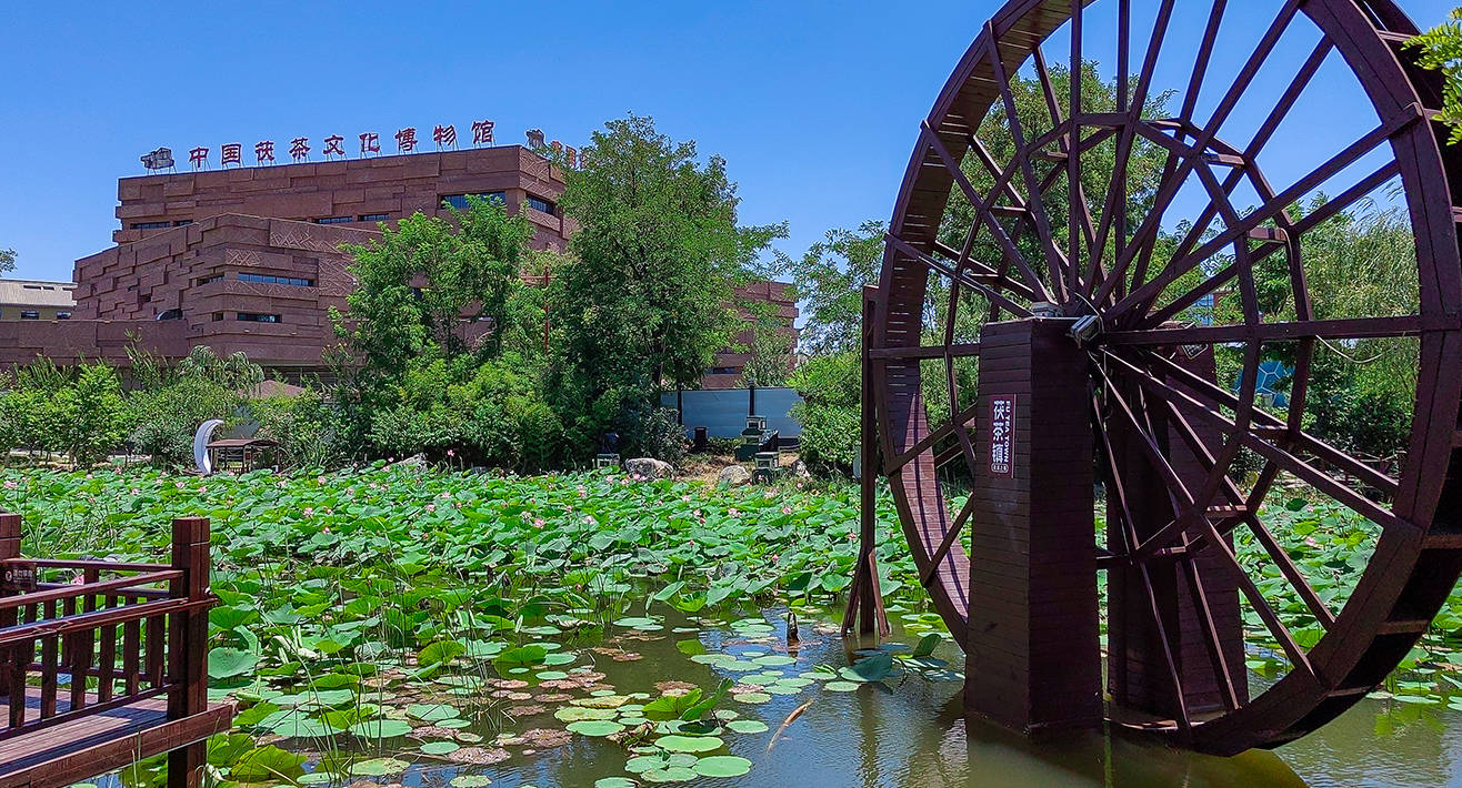 陕西的茯茶小镇与泾阳茯茶