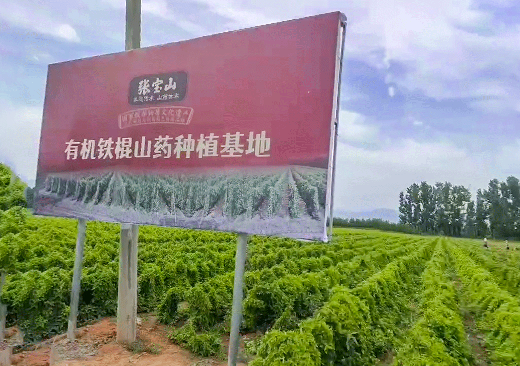 张宝山铁棍山药刀削面:根根滑爽,每一口都是幸福的味道