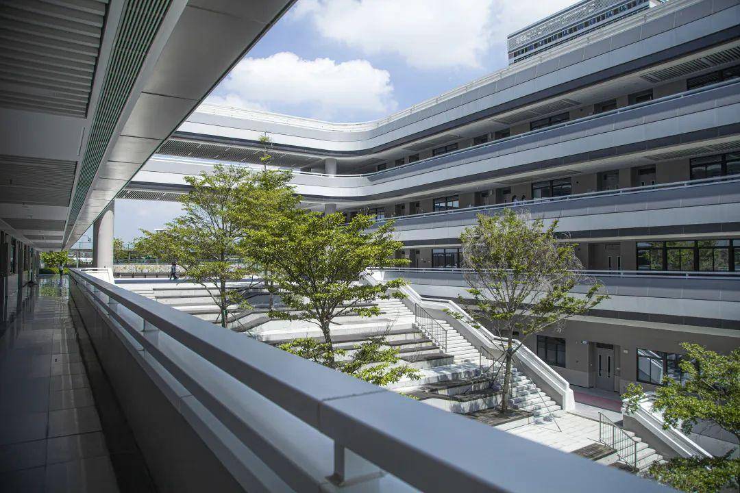 喜讯深圳市格致中学2022年中考录取分数线上涨26分