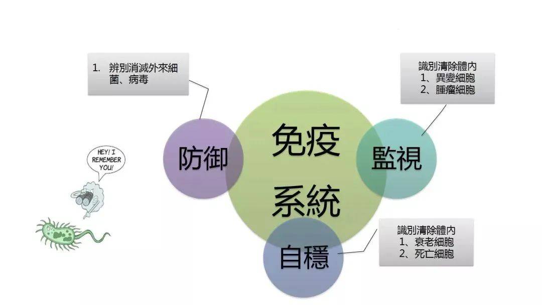 免疫細胞儲存 | 從根源上遠離疾病_癌症_免疫力_人體