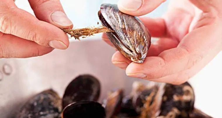 由于贻贝的构造和食性,毒素都是集中在它的内脏中,所以我们在处理贻贝