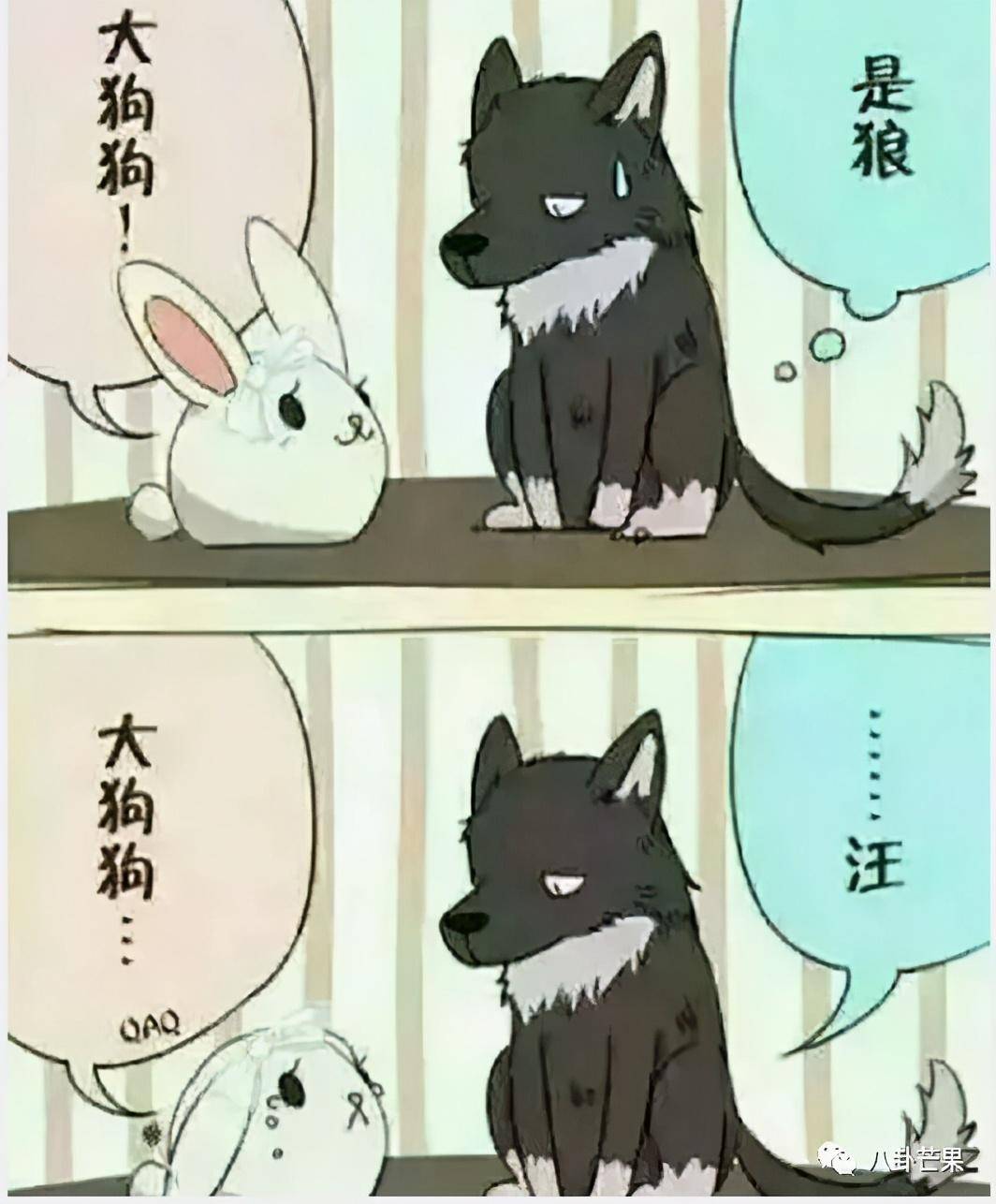 原创嗑学家告诉你这对戏份超少的狼兔cp为何能打败热巴吴磊