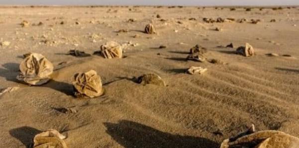 为何在沙漠看到“石头”要捡起来，有什么作用？驴友：错过就没了