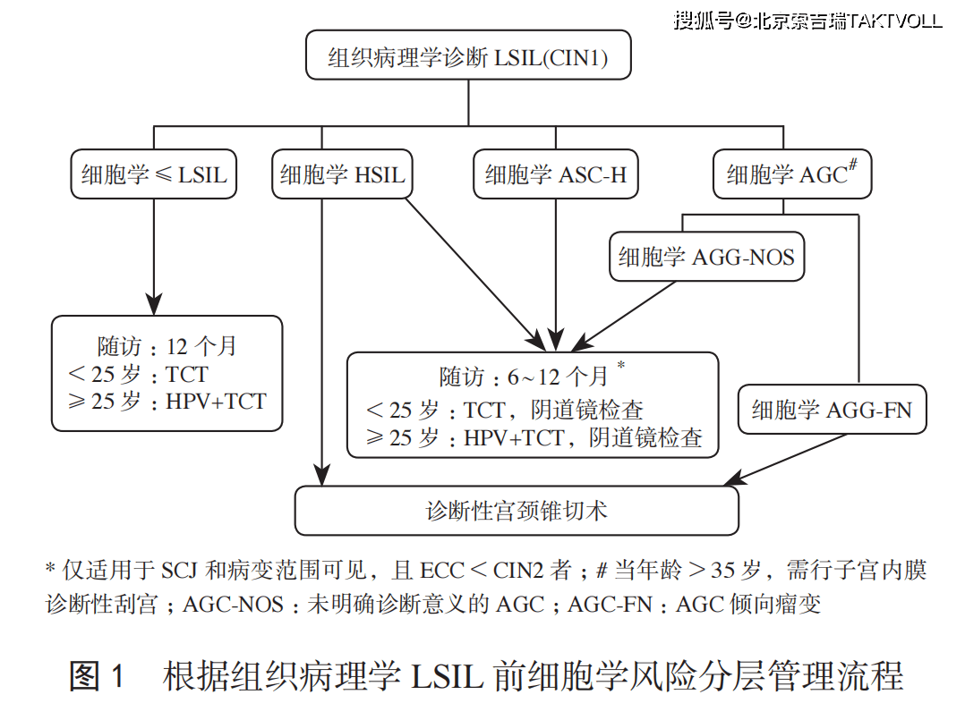 專家共識子宮頸低級別鱗狀上皮內病變管理的中國專家共識