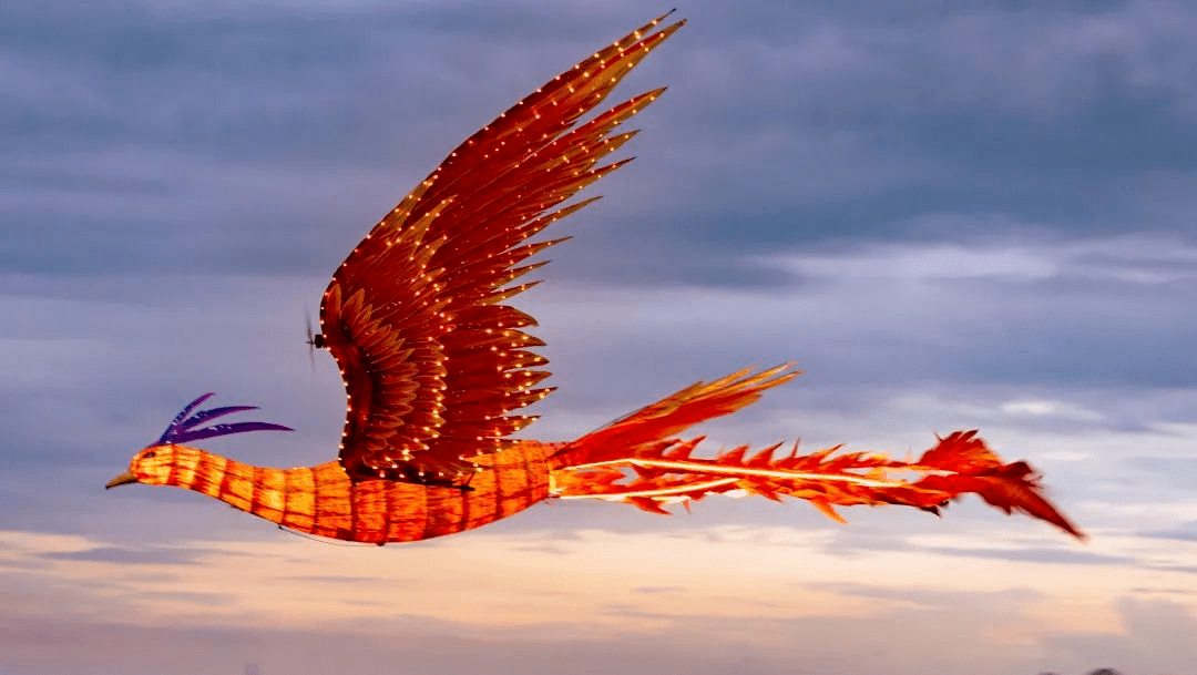 据悉,凤凰飞行器长约7米,单边翼展可达5.5米,在高空中优雅的滑