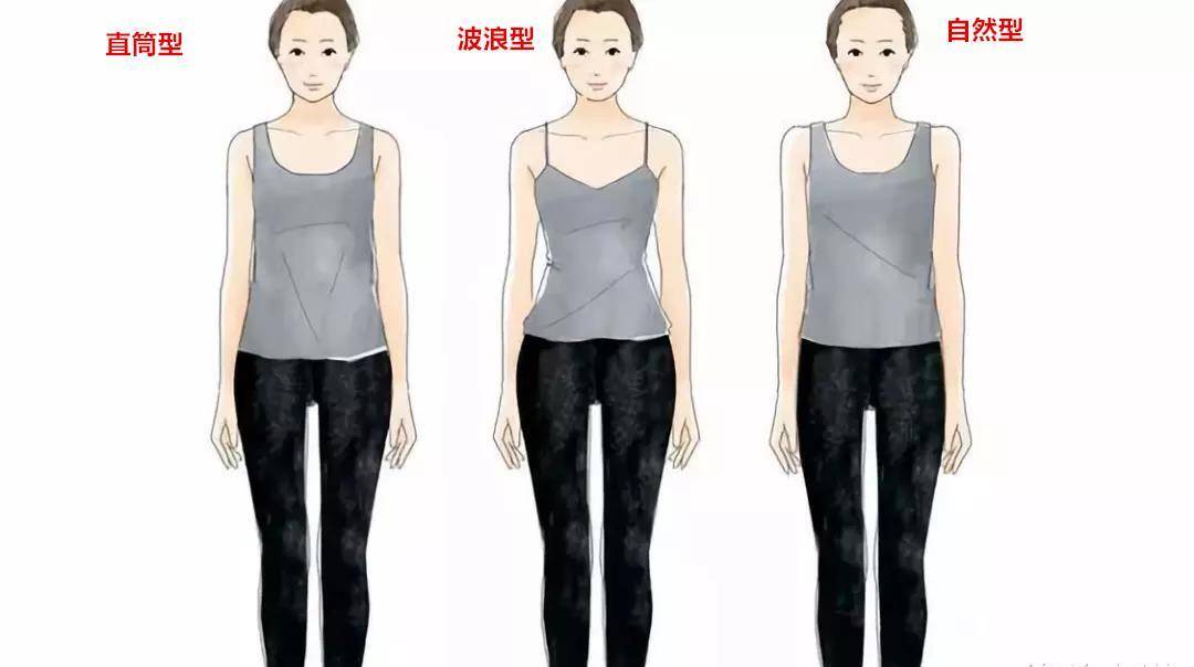 3种体型,直击要点_骨架_洛薇_服饰