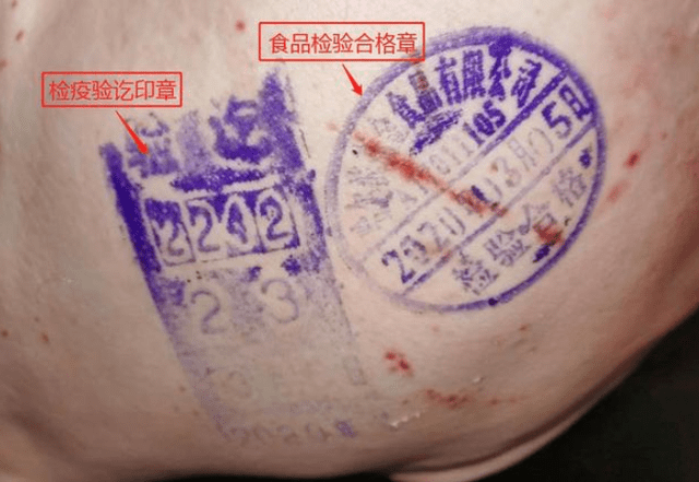 农民能宰猪卖肉吗_销售_检疫_市场