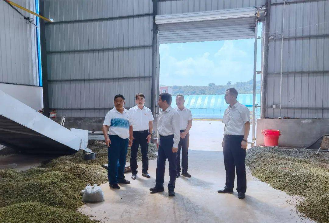 王清华深入卢氏县官道口镇调研