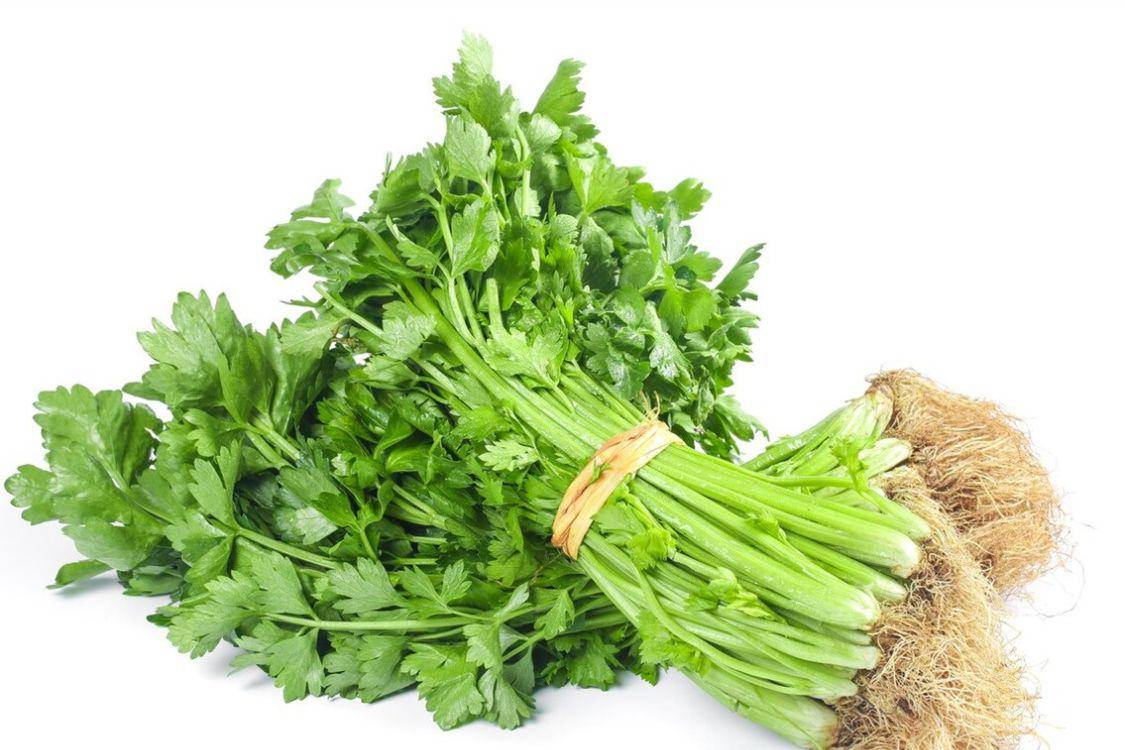 立秋前后怎么吃_食材_茭白_荸荠