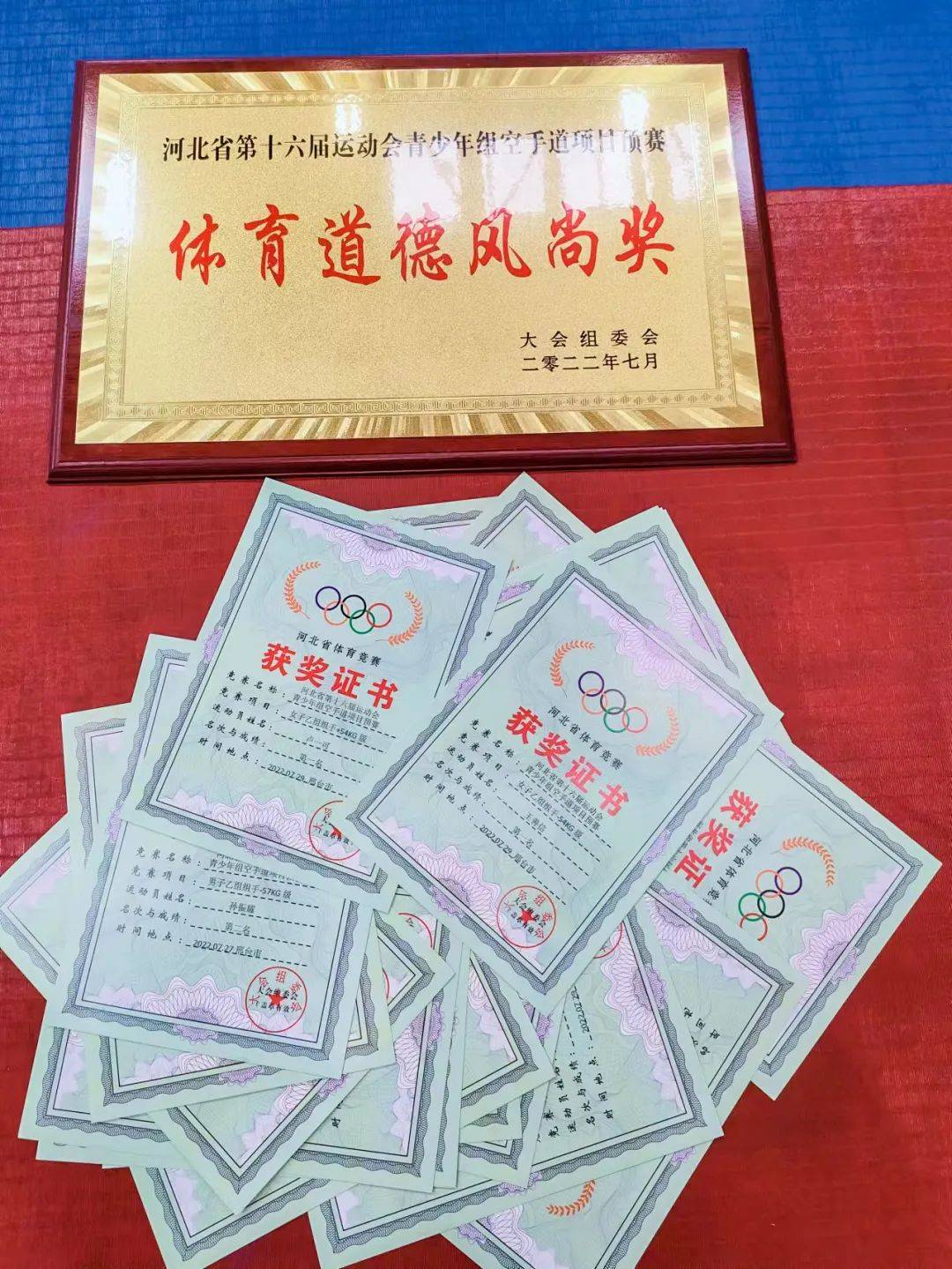 滨湖志臻空手道队体育道德风尚奖衡水滨湖志臻自建校以来就高度重视体