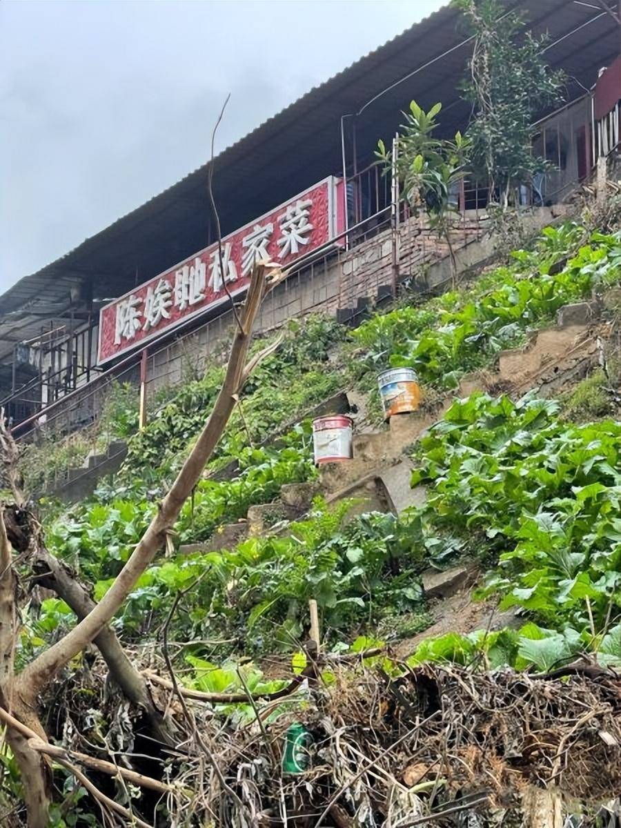 长沙中建广场附近值得打卡的山野味道！